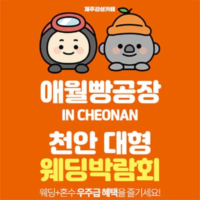 찬안웨딩페어 애월빵공장