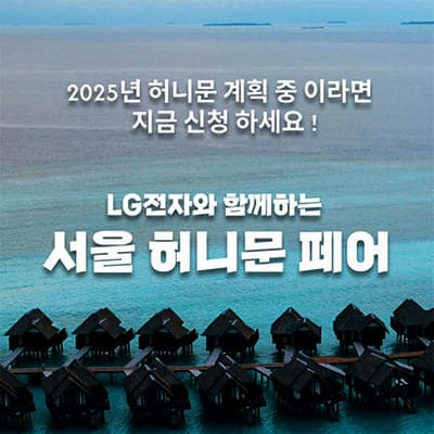 서울 허니문 페어