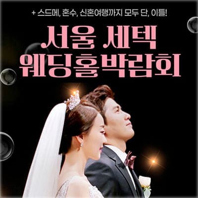 서울 세텍 예식장 박람회